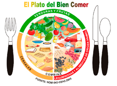 Método del plato, qué es: reglas, proporciones y alimentos a incluir