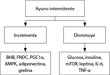 3 consejos de Frank Suárez para eliminar la grasa abdominal, 3 consejos de Frank  Suárez para eliminar la grasa abdominal Felipe Rangel, By Badabun