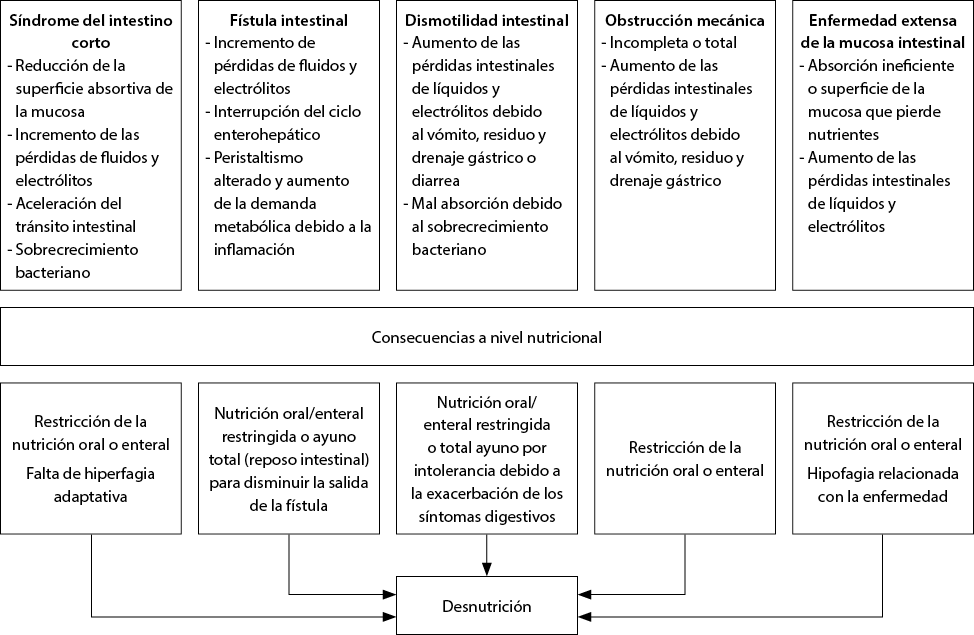 Natalben Supra on Instagram: Durante la lactancia materna existe un  aumento de las necesidades de vitaminas, minerales y oligoelementos para  que la producción de la leche materna no altere el estado nutricional