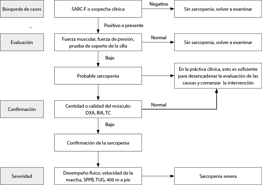 La circunferencia abdominal como indicador de riesgo de enfermedad