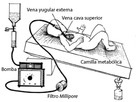 Conoce la dieta del doctor Now que salva vidas en Kilos Mortales